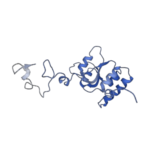 16232_8btk_BQ_v1-1
Structure of the TRAP complex with the Sec translocon and a translating ribosome