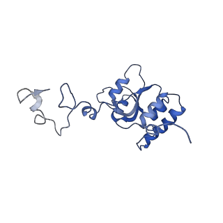 16232_8btk_BQ_v2-0
Structure of the TRAP complex with the Sec translocon and a translating ribosome