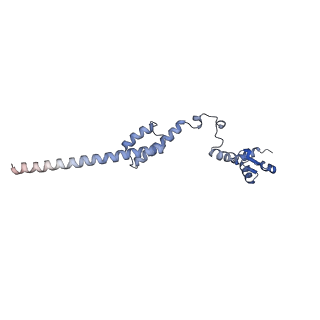 16232_8btk_BR_v1-1
Structure of the TRAP complex with the Sec translocon and a translating ribosome