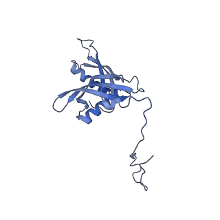 16232_8btk_BS_v1-1
Structure of the TRAP complex with the Sec translocon and a translating ribosome