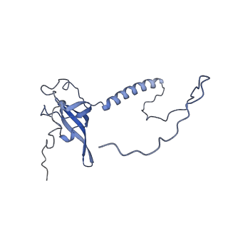 16232_8btk_BT_v1-1
Structure of the TRAP complex with the Sec translocon and a translating ribosome