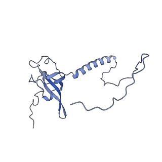 16232_8btk_BT_v2-0
Structure of the TRAP complex with the Sec translocon and a translating ribosome