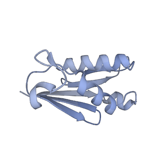 16232_8btk_BU_v1-1
Structure of the TRAP complex with the Sec translocon and a translating ribosome