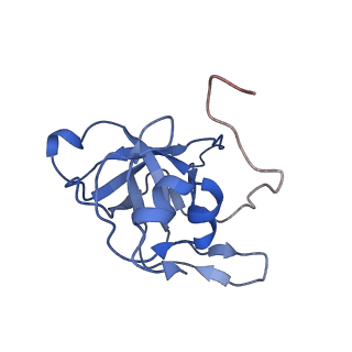 16232_8btk_BV_v1-1
Structure of the TRAP complex with the Sec translocon and a translating ribosome