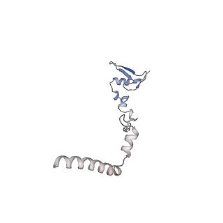 16232_8btk_BW_v1-1
Structure of the TRAP complex with the Sec translocon and a translating ribosome