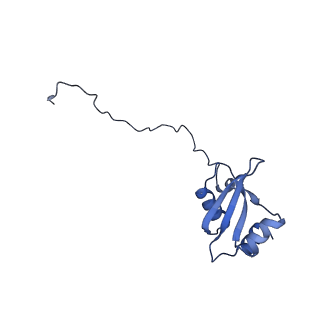 16232_8btk_BX_v1-1
Structure of the TRAP complex with the Sec translocon and a translating ribosome
