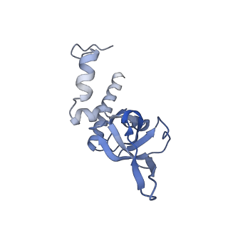 16232_8btk_BY_v1-1
Structure of the TRAP complex with the Sec translocon and a translating ribosome