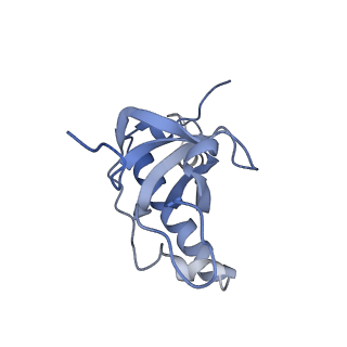 16232_8btk_BZ_v1-1
Structure of the TRAP complex with the Sec translocon and a translating ribosome