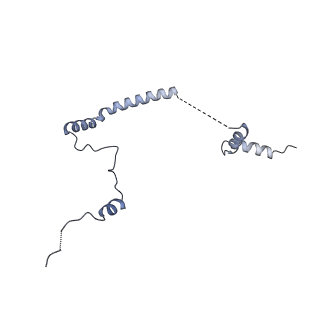 16232_8btk_Bb_v1-1
Structure of the TRAP complex with the Sec translocon and a translating ribosome