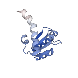 16232_8btk_Bc_v1-1
Structure of the TRAP complex with the Sec translocon and a translating ribosome