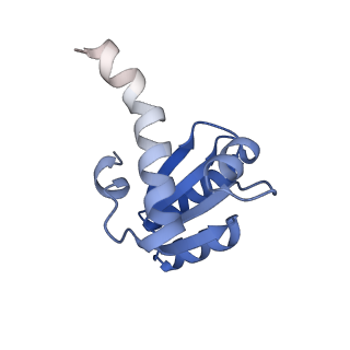 16232_8btk_Bc_v2-0
Structure of the TRAP complex with the Sec translocon and a translating ribosome