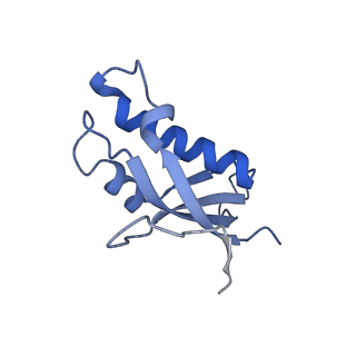 16232_8btk_Bd_v1-1
Structure of the TRAP complex with the Sec translocon and a translating ribosome