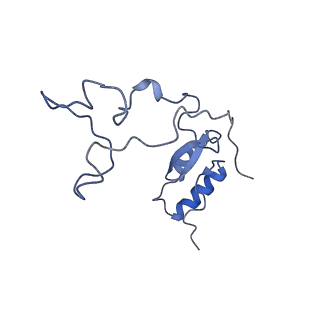 16232_8btk_Be_v1-1
Structure of the TRAP complex with the Sec translocon and a translating ribosome