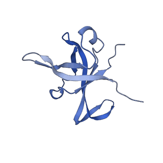 16232_8btk_Bf_v1-1
Structure of the TRAP complex with the Sec translocon and a translating ribosome