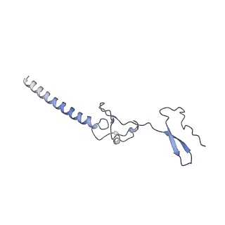 16232_8btk_Bg_v1-1
Structure of the TRAP complex with the Sec translocon and a translating ribosome