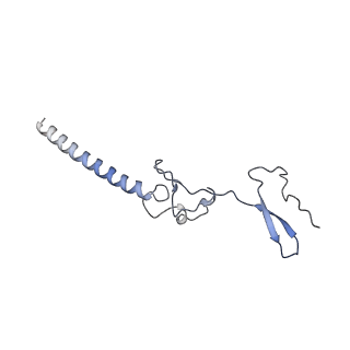16232_8btk_Bg_v2-0
Structure of the TRAP complex with the Sec translocon and a translating ribosome