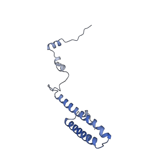 16232_8btk_Bh_v1-1
Structure of the TRAP complex with the Sec translocon and a translating ribosome
