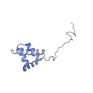 16232_8btk_Bi_v1-1
Structure of the TRAP complex with the Sec translocon and a translating ribosome