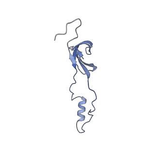 16232_8btk_Bo_v1-1
Structure of the TRAP complex with the Sec translocon and a translating ribosome