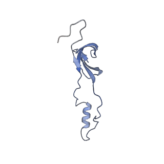 16232_8btk_Bo_v2-0
Structure of the TRAP complex with the Sec translocon and a translating ribosome
