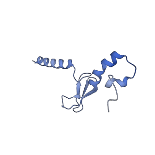 16232_8btk_Bp_v1-1
Structure of the TRAP complex with the Sec translocon and a translating ribosome