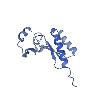 16232_8btk_Br_v1-1
Structure of the TRAP complex with the Sec translocon and a translating ribosome