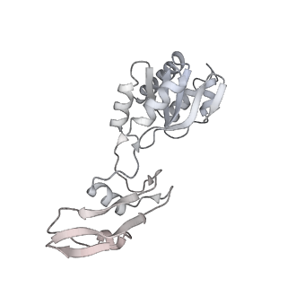 16232_8btk_Bs_v1-1
Structure of the TRAP complex with the Sec translocon and a translating ribosome