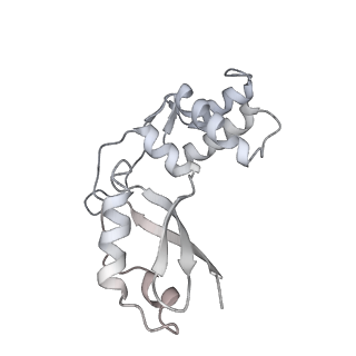 16232_8btk_Bt_v1-1
Structure of the TRAP complex with the Sec translocon and a translating ribosome