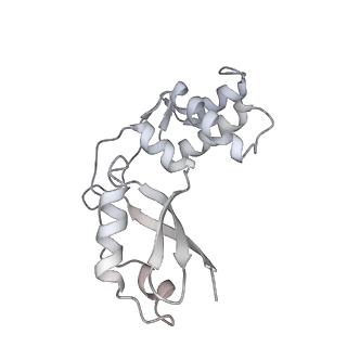 16232_8btk_Bt_v2-0
Structure of the TRAP complex with the Sec translocon and a translating ribosome