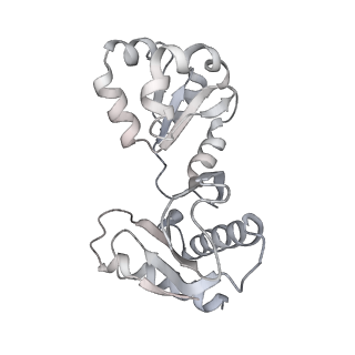 16232_8btk_Bv_v1-1
Structure of the TRAP complex with the Sec translocon and a translating ribosome