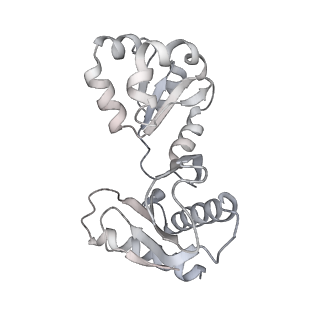 16232_8btk_Bv_v2-0
Structure of the TRAP complex with the Sec translocon and a translating ribosome