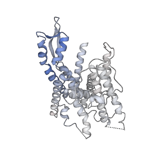 16232_8btk_SX_v1-1
Structure of the TRAP complex with the Sec translocon and a translating ribosome