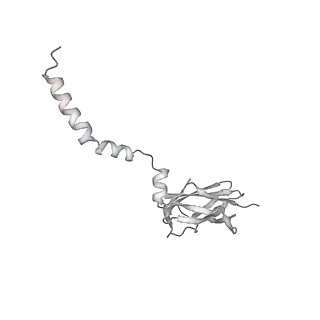 16232_8btk_TB_v1-1
Structure of the TRAP complex with the Sec translocon and a translating ribosome