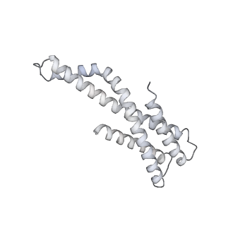 16232_8btk_TC_v1-1
Structure of the TRAP complex with the Sec translocon and a translating ribosome
