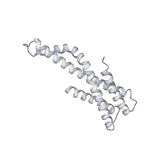 16232_8btk_TC_v2-0
Structure of the TRAP complex with the Sec translocon and a translating ribosome