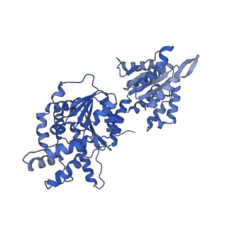 16233_8bto_A_v1-2
Helical structure of BcThsA in complex with 1''-3'gcADPR