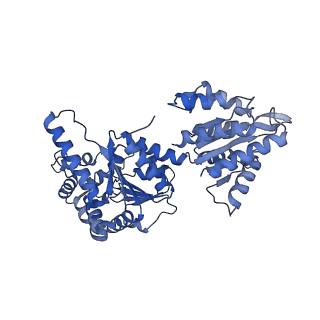 16233_8bto_B_v1-2
Helical structure of BcThsA in complex with 1''-3'gcADPR