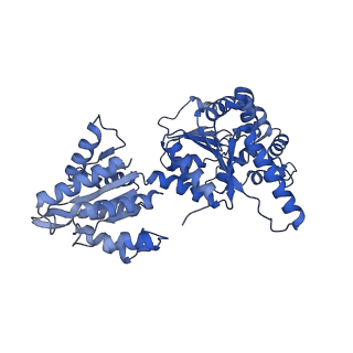 16233_8bto_C_v1-2
Helical structure of BcThsA in complex with 1''-3'gcADPR