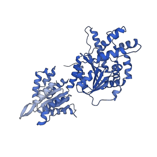 16233_8bto_D_v1-2
Helical structure of BcThsA in complex with 1''-3'gcADPR