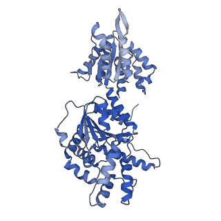 16233_8bto_E_v1-2
Helical structure of BcThsA in complex with 1''-3'gcADPR