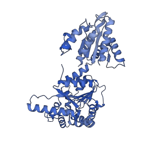 16233_8bto_F_v1-2
Helical structure of BcThsA in complex with 1''-3'gcADPR