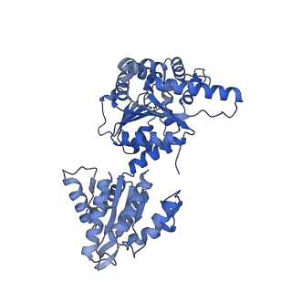 16233_8bto_G_v1-2
Helical structure of BcThsA in complex with 1''-3'gcADPR