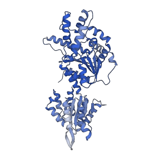 16233_8bto_H_v1-2
Helical structure of BcThsA in complex with 1''-3'gcADPR