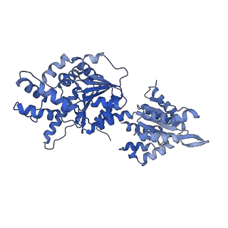 16233_8bto_I_v1-2
Helical structure of BcThsA in complex with 1''-3'gcADPR