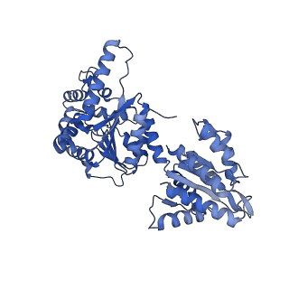 16233_8bto_J_v1-2
Helical structure of BcThsA in complex with 1''-3'gcADPR