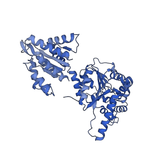 16233_8bto_K_v1-2
Helical structure of BcThsA in complex with 1''-3'gcADPR