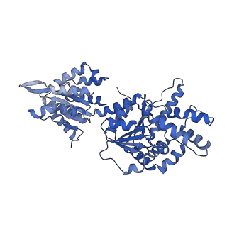 16233_8bto_L_v1-2
Helical structure of BcThsA in complex with 1''-3'gcADPR