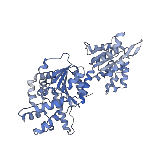 16234_8btp_A_v1-2
Helical structure of BcThsA in complex with 1''-3'gc(etheno)ADPR