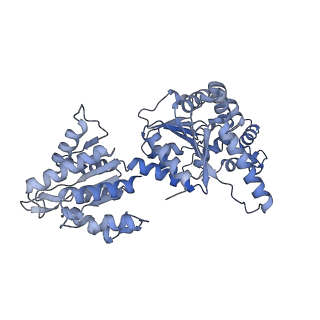 16234_8btp_C_v1-2
Helical structure of BcThsA in complex with 1''-3'gc(etheno)ADPR