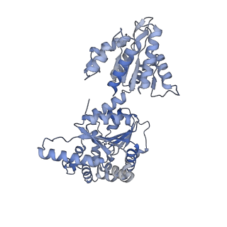 16234_8btp_F_v1-2
Helical structure of BcThsA in complex with 1''-3'gc(etheno)ADPR